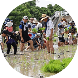 MIRAIE倶楽部at堺