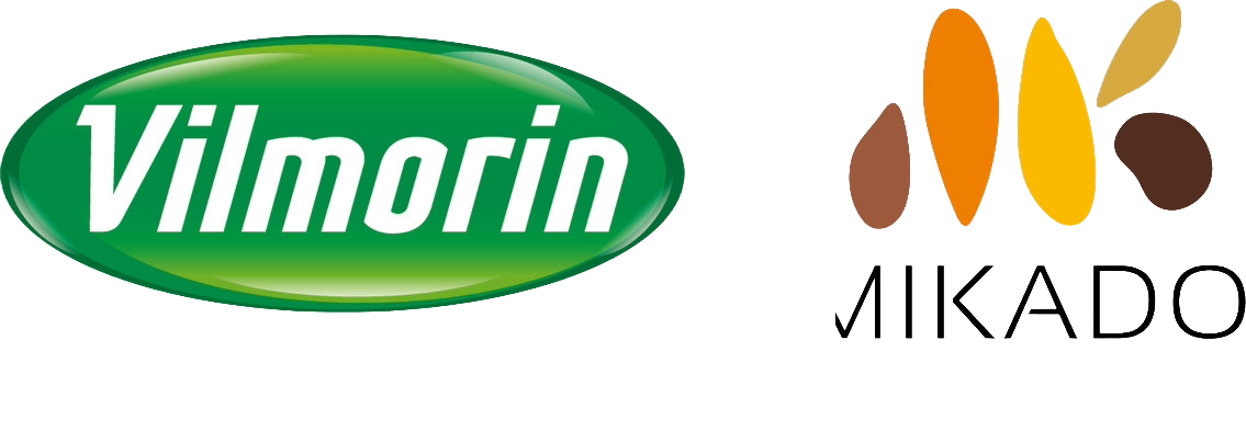 ヴィルモランみかど_背景透過